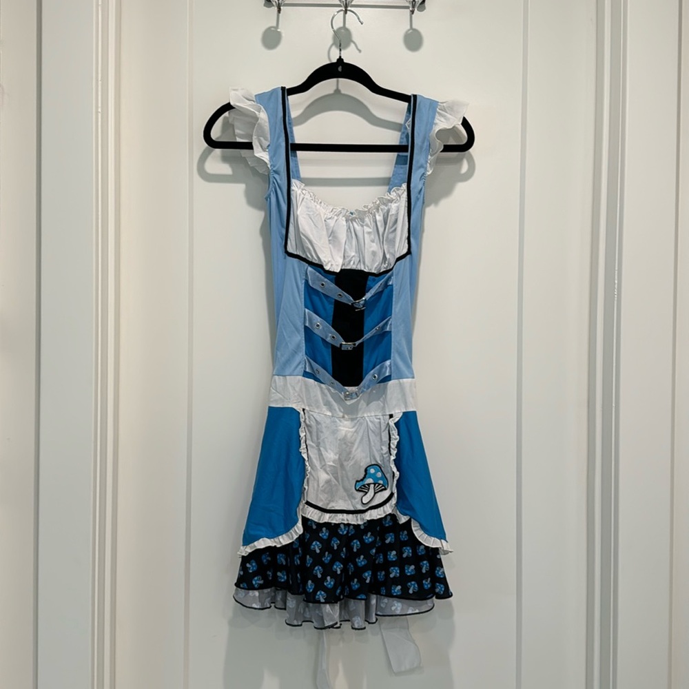Alice in wonderland Halloween costume size small